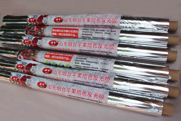 杭州果园防鸟彩带厂家哪家好