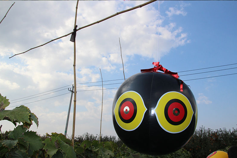 驱鸟气球,恐怖眼气球,恐怖眼驱鸟